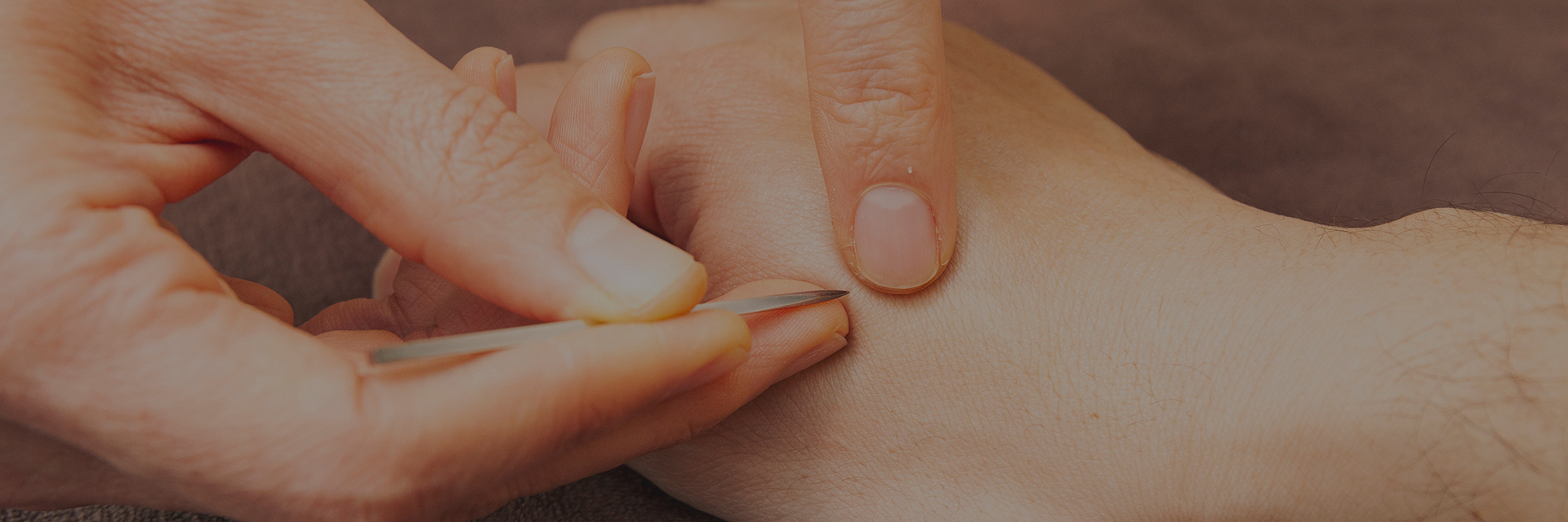 にしかわ逍遙堂